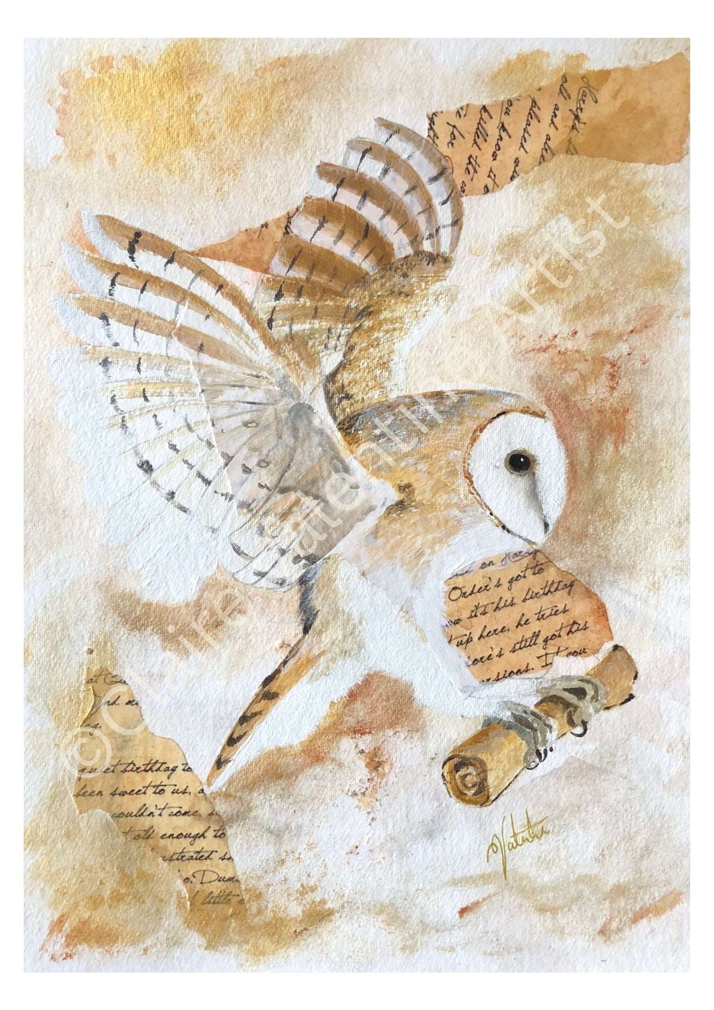 Barn Owl Wall Art - The Silent Messenger Fine Art Print