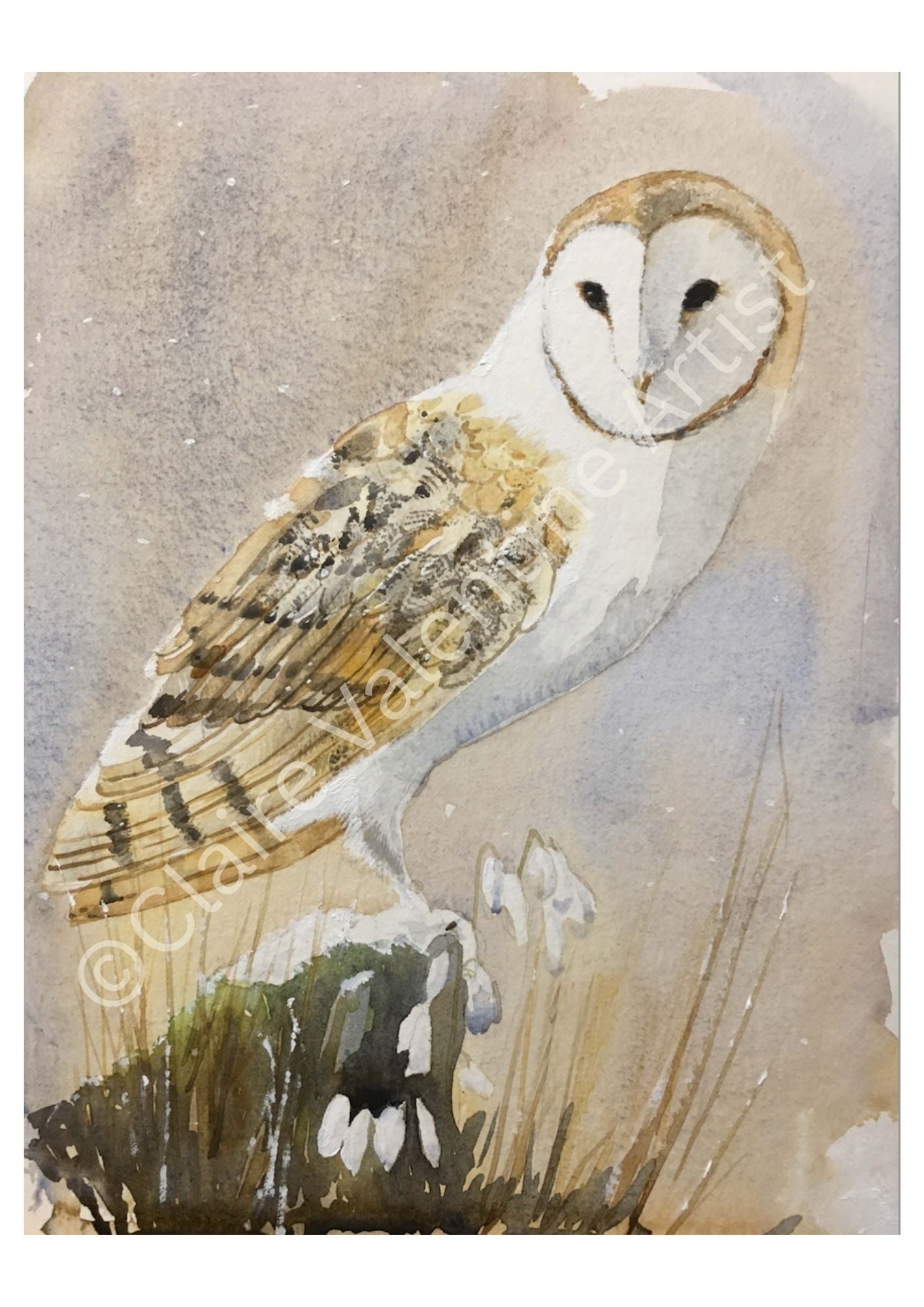 Original Owl art - The First Snowdrops