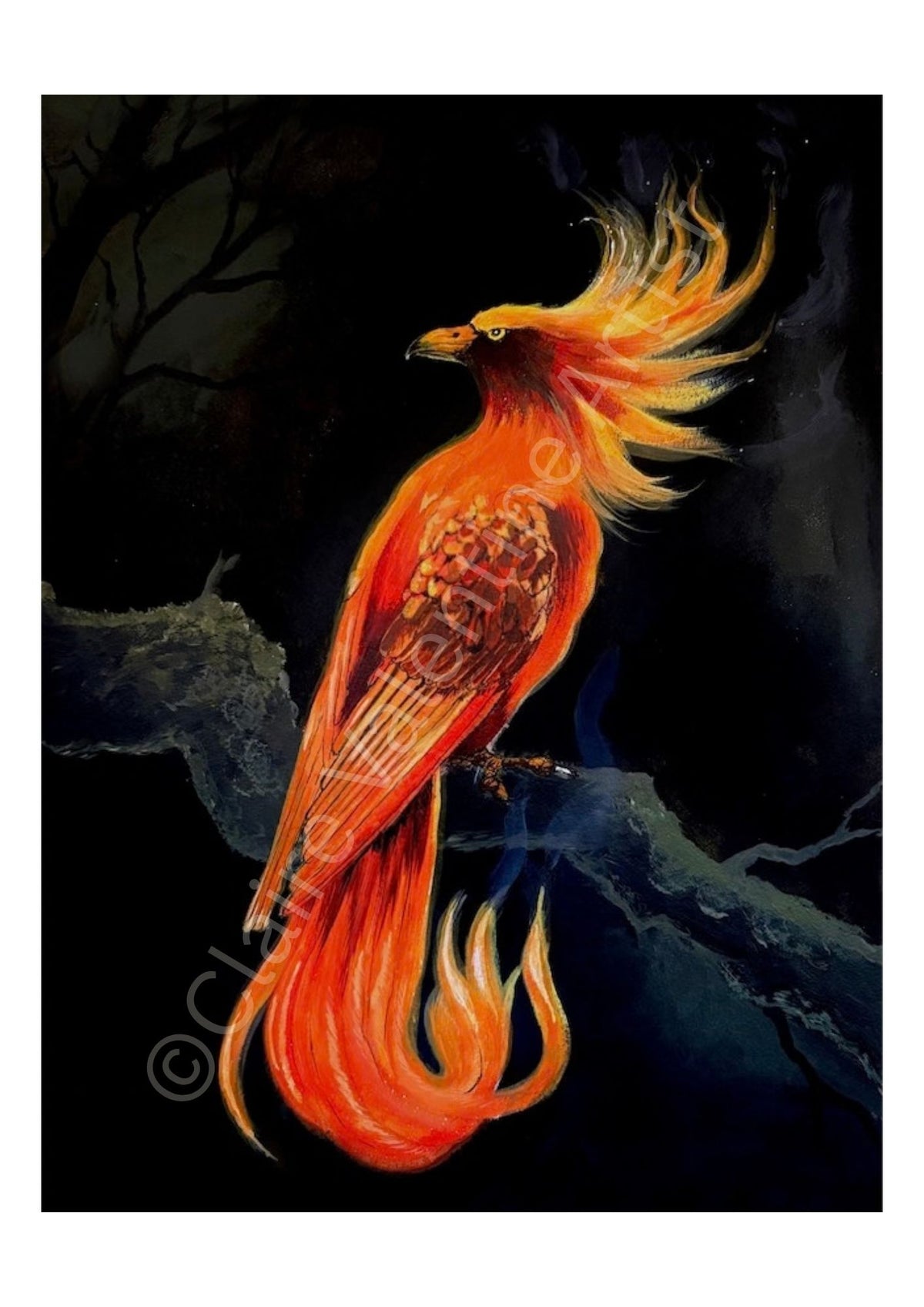 Pheonix - Night Messenger Realm