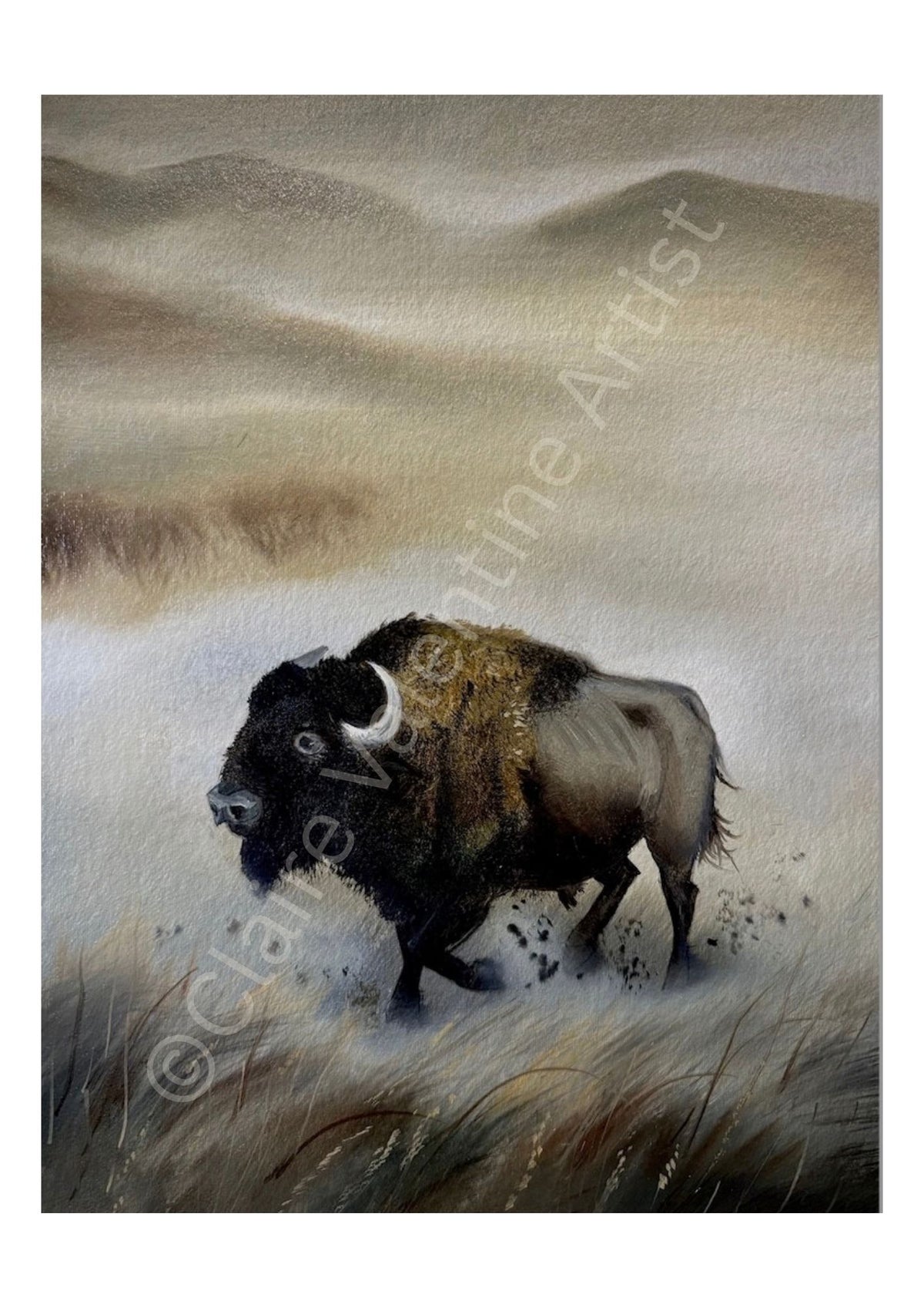 Bison - Earth Messenger Realm