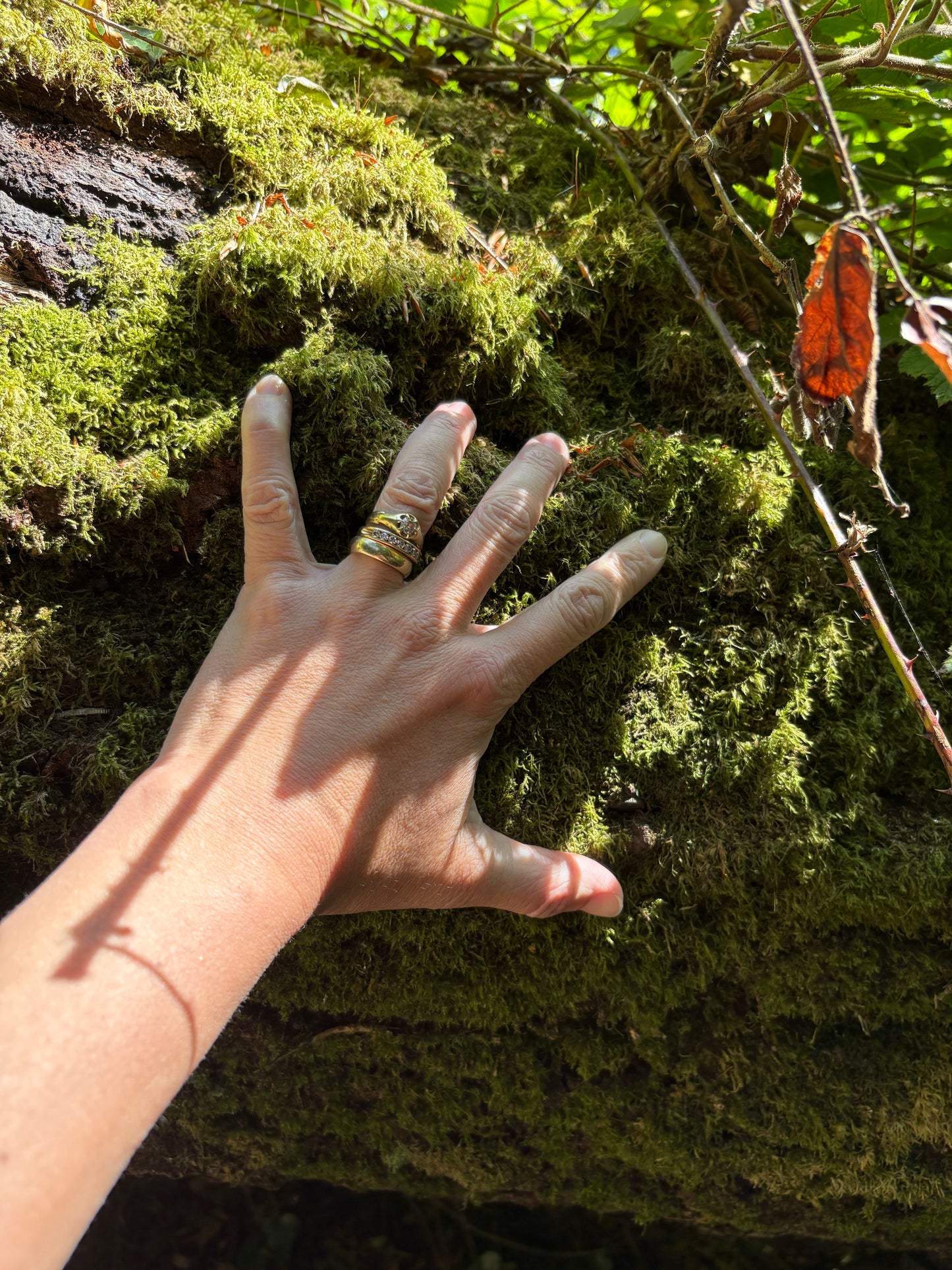 St. Nectan's Glen - Pagan Sculpture Recycled Materials
