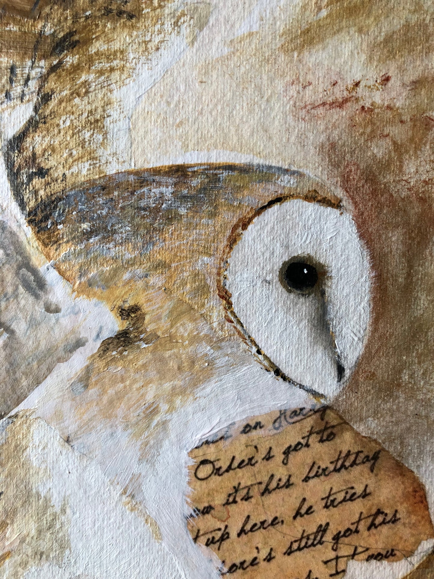 Barn Owl Wall Art - The Silent Messenger Fine Art Print