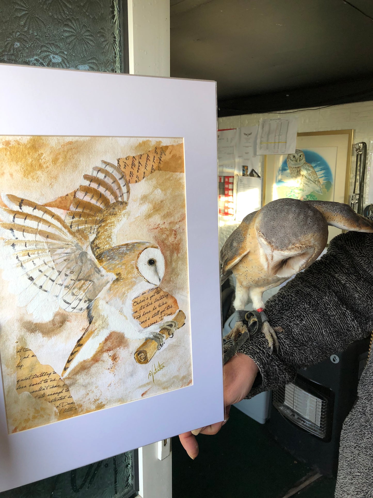 Barn Owl Wall Art - The Silent Messenger Fine Art Print