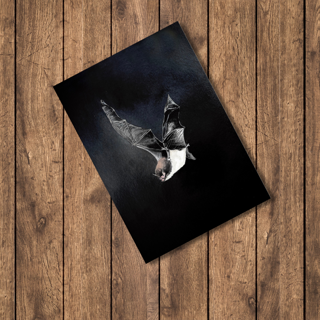 Bat - Night Messenger Realm