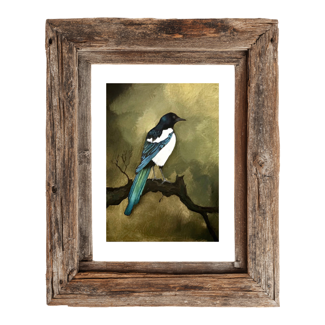 Magpie - Sky Messenger Realm