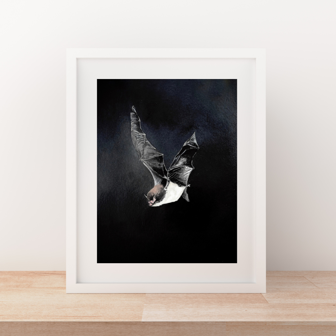 Bat - Night Messenger Realm