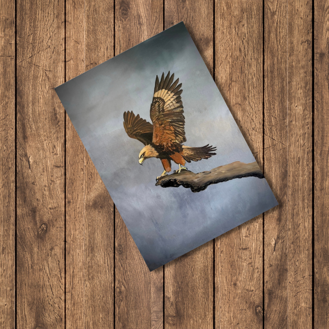 Eagle - Sky Messenger Realm