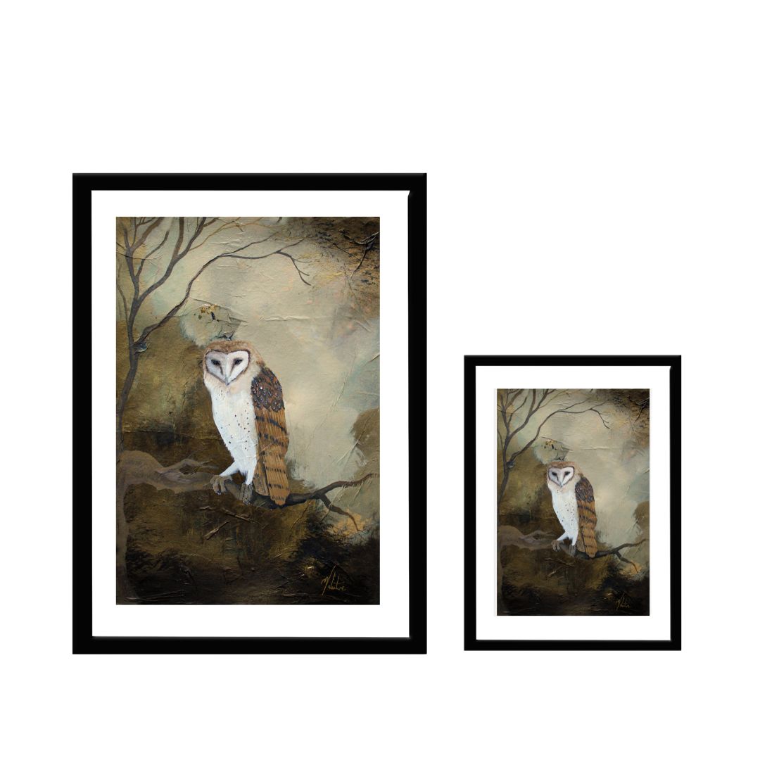 Clarity - Owl Art Print