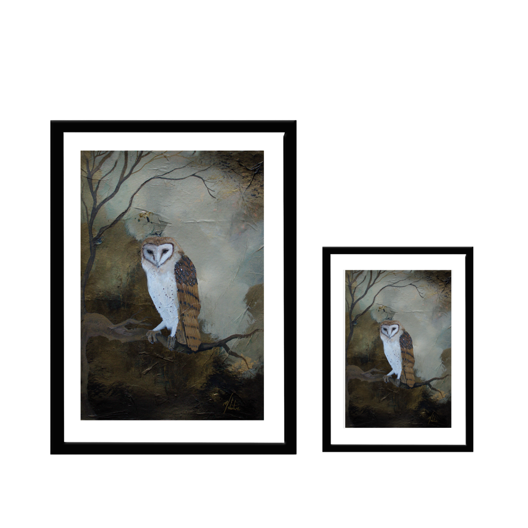 Clarity - Owl Art Print