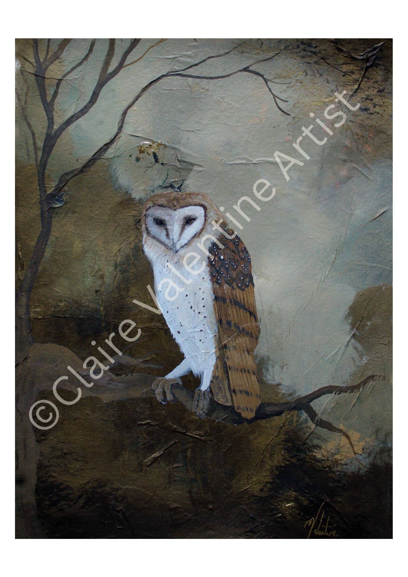 Clarity - Owl Art Print