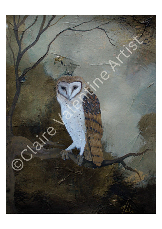 Clarity - Owl Art Print