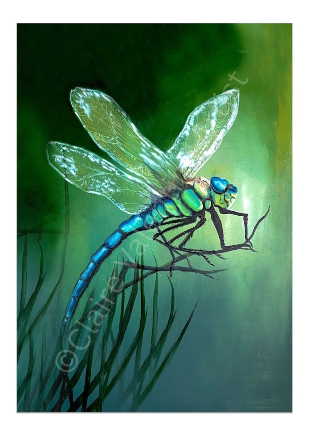 Dragonfly - Water Messenger Realm