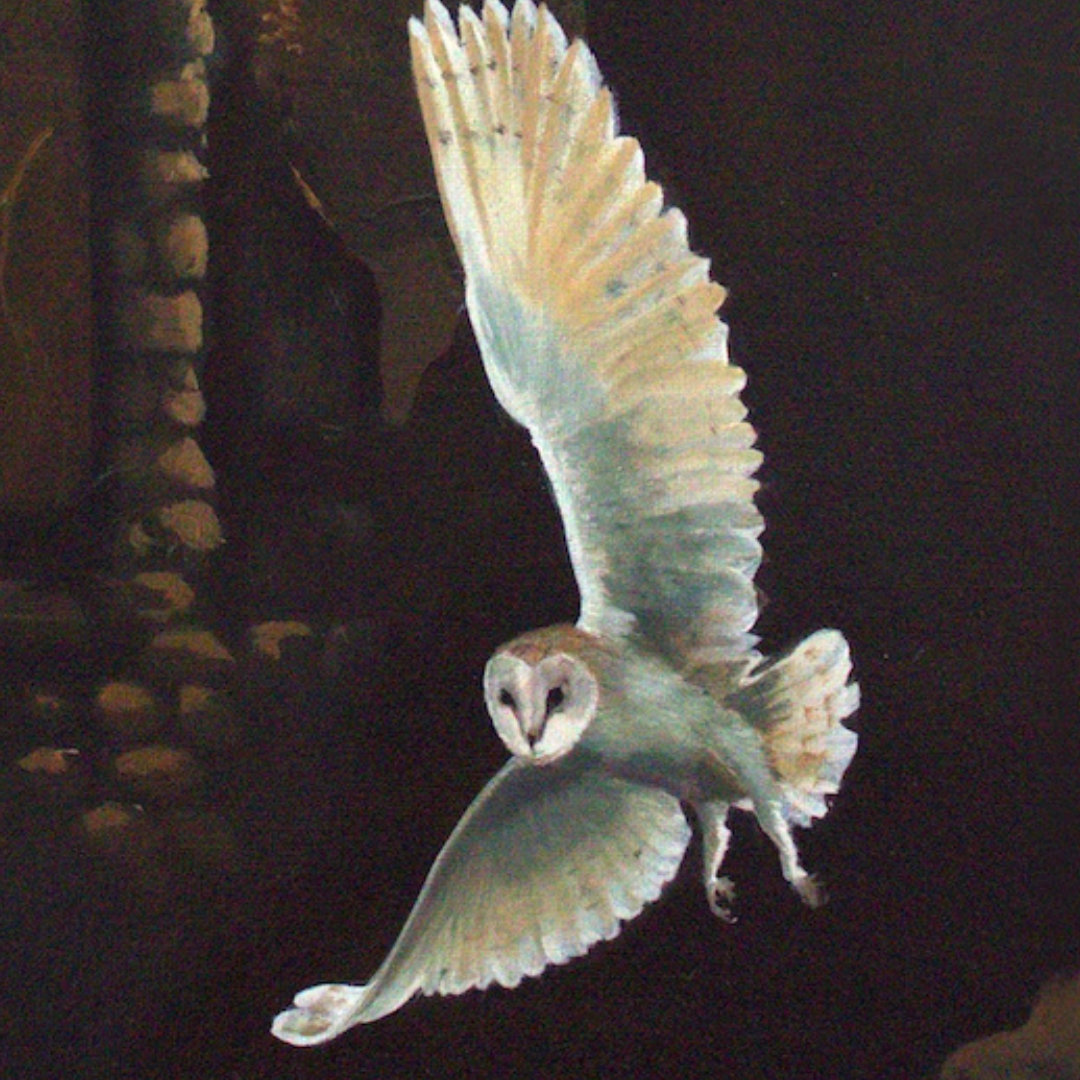 The Forgotten Hallows