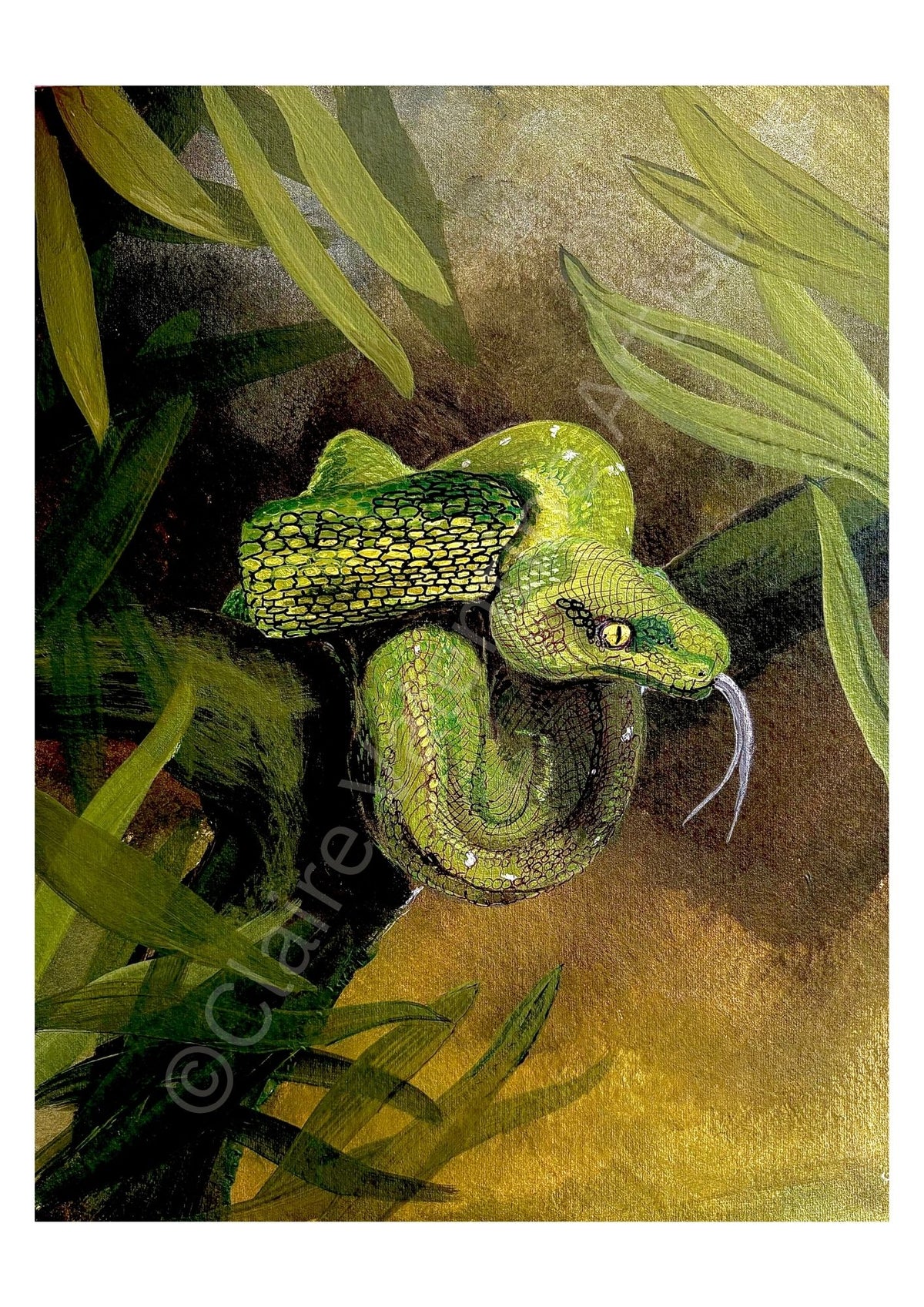 Snake - Earth Messenger Realm