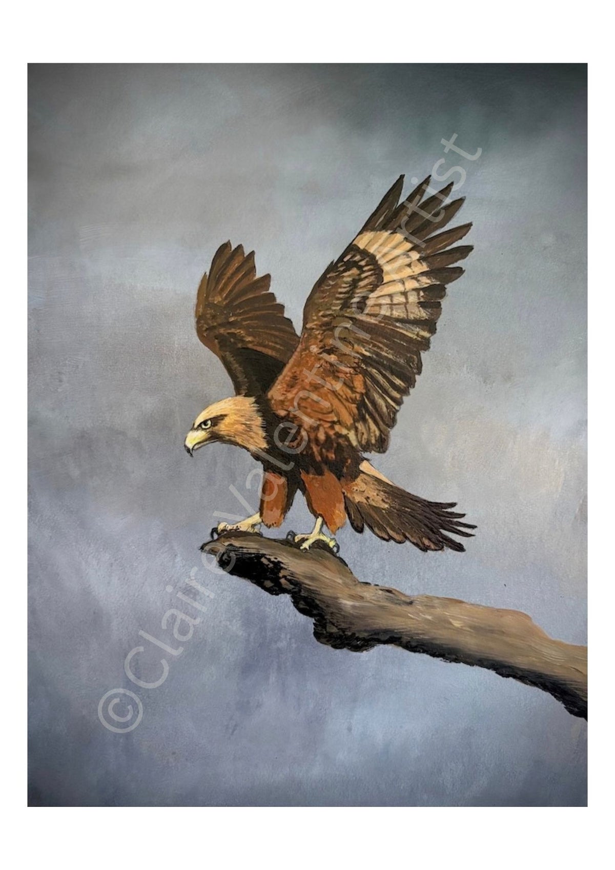 Eagle - Sky Messenger Realm
