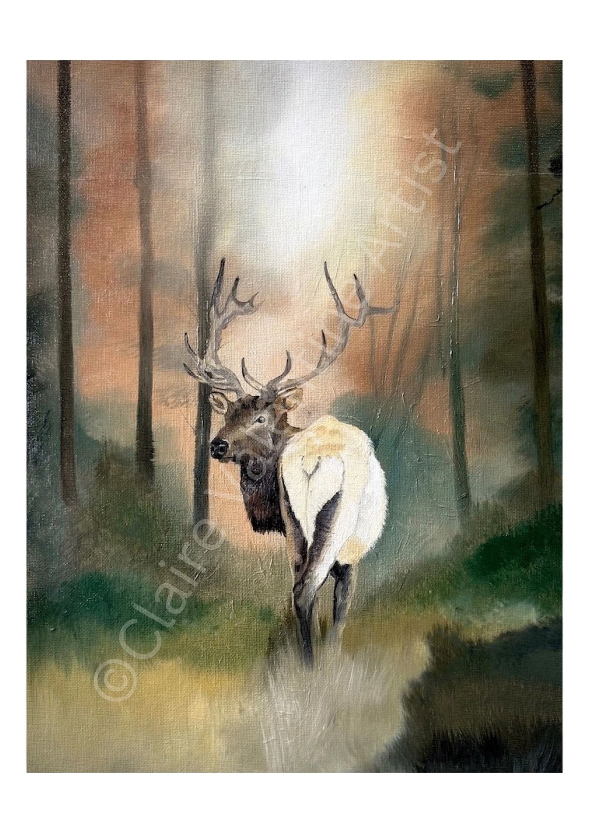 Elk - Forest Messenger Realm