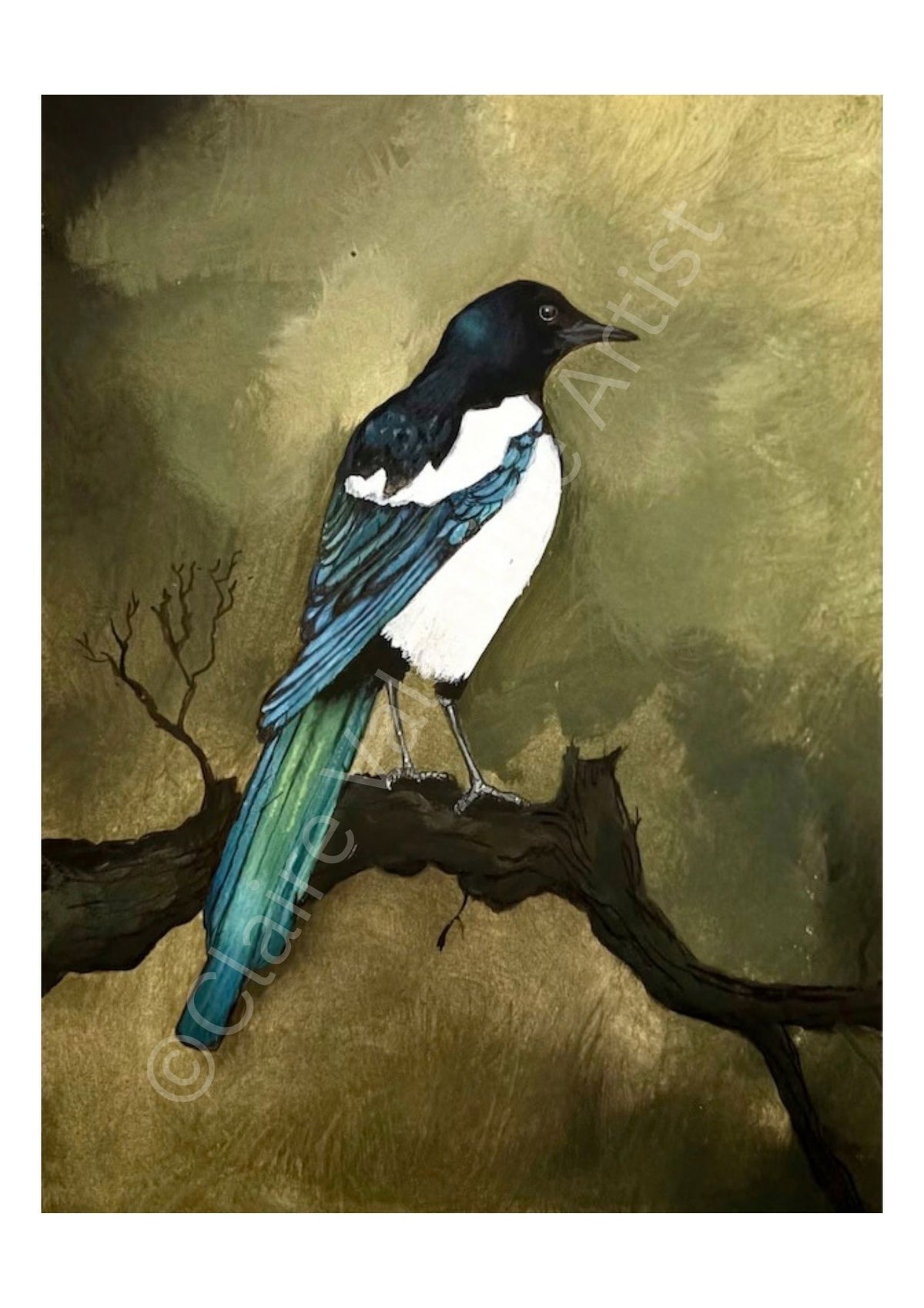 Magpie - Sky Messenger Realm