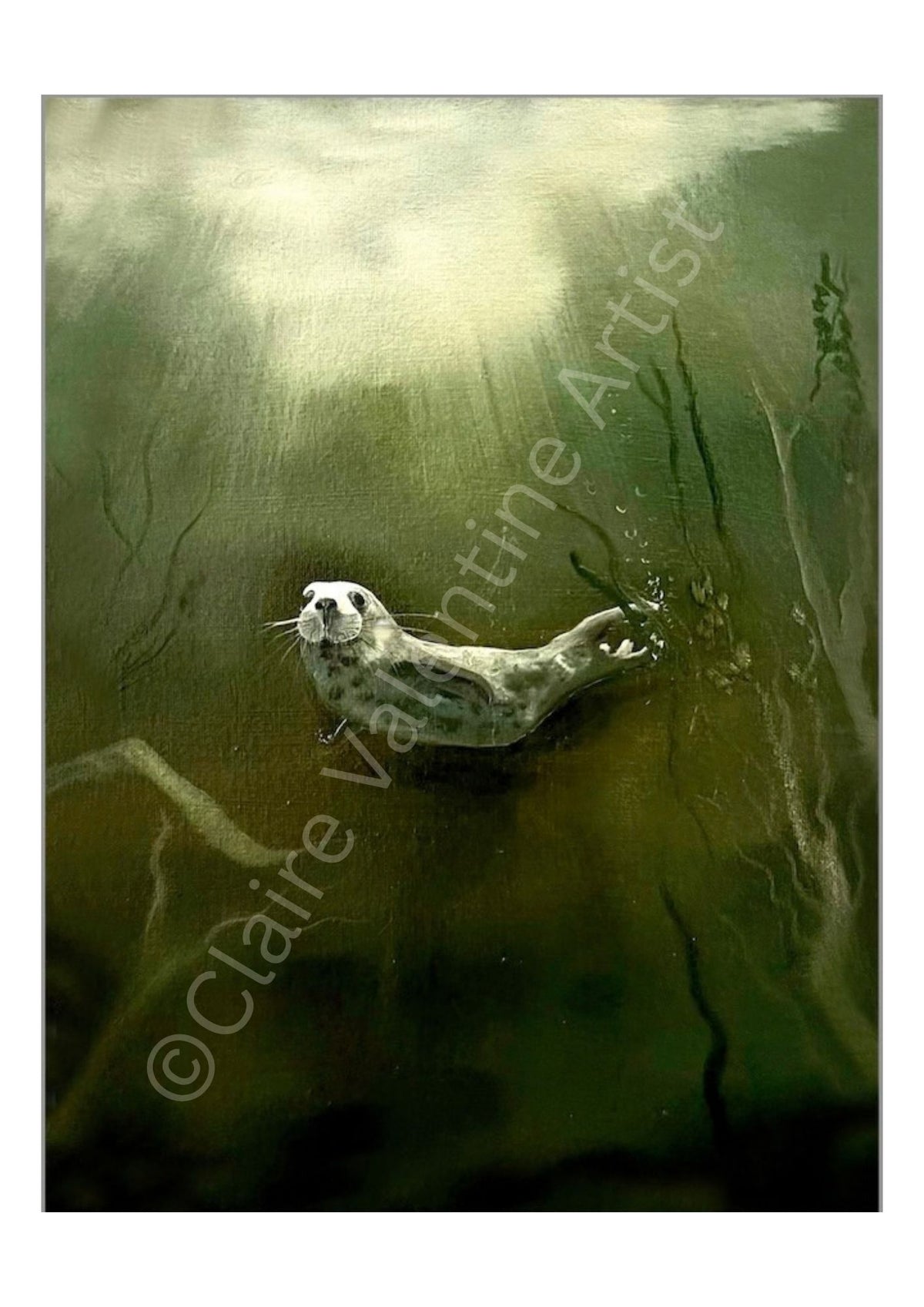 Seal - Water Messenger Realm