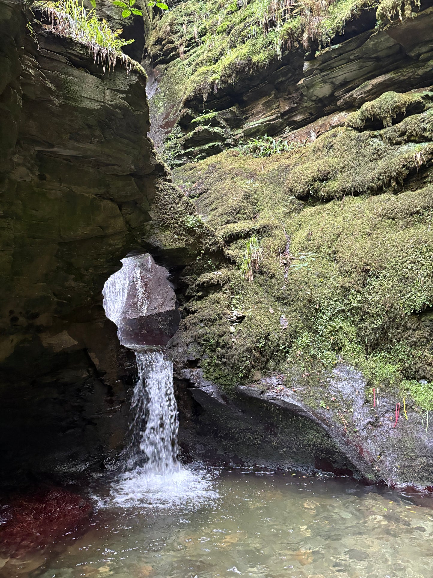St. Nectan's Glen - Pagan Sculpture Recycled Materials