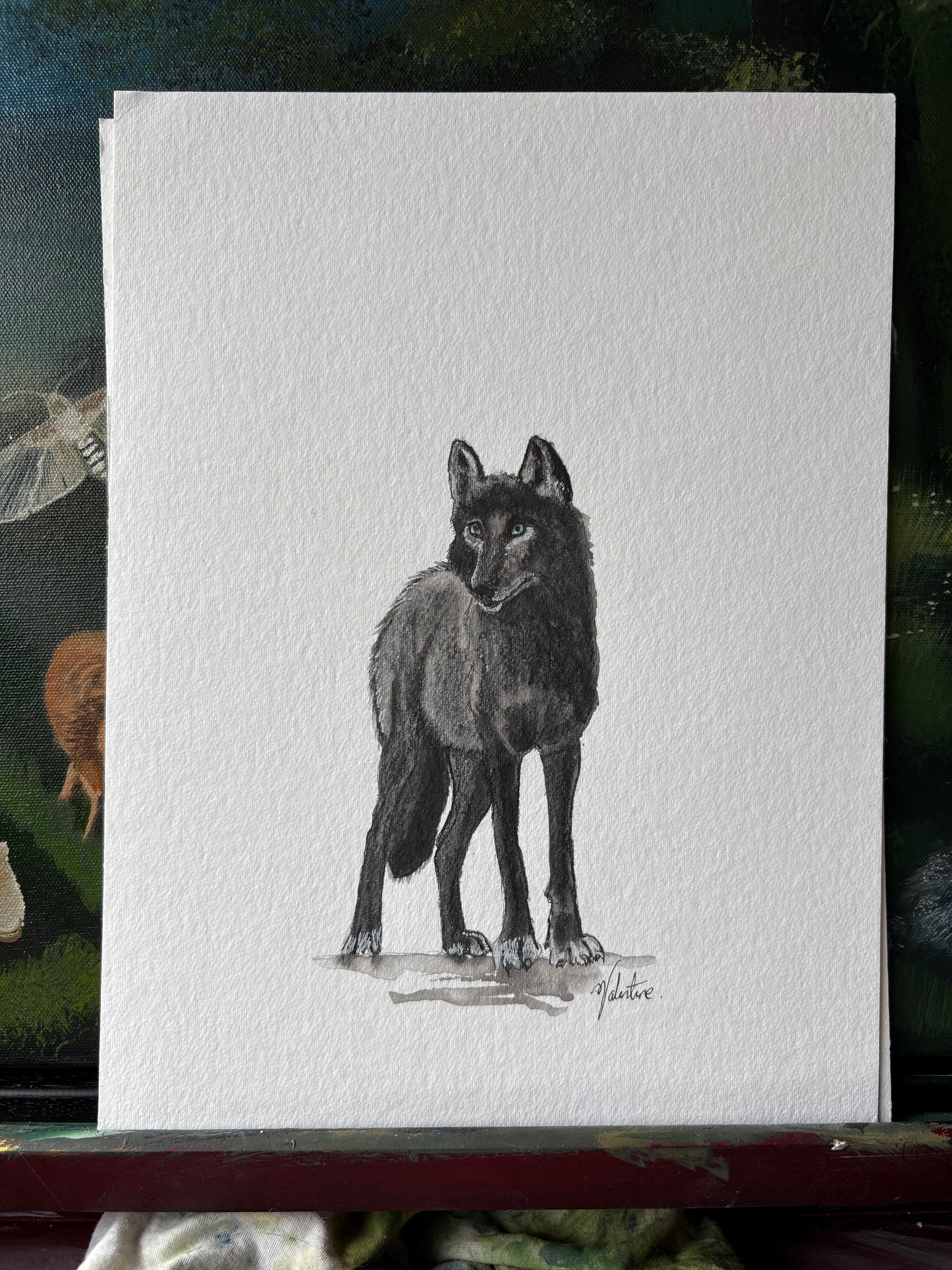 The Black She-Wolf Watercolour - Original Watercolour
