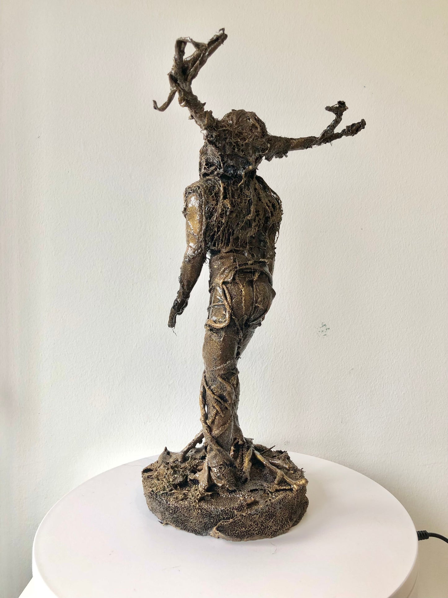The Woodwose of St Mawgan
- Pagan Sculpture