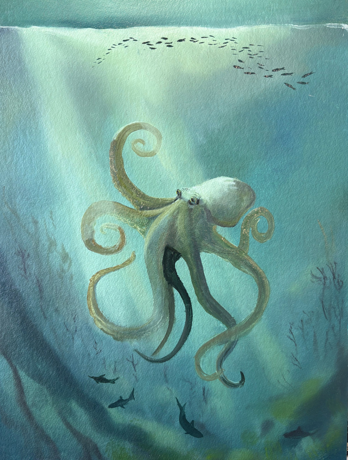 Octopus