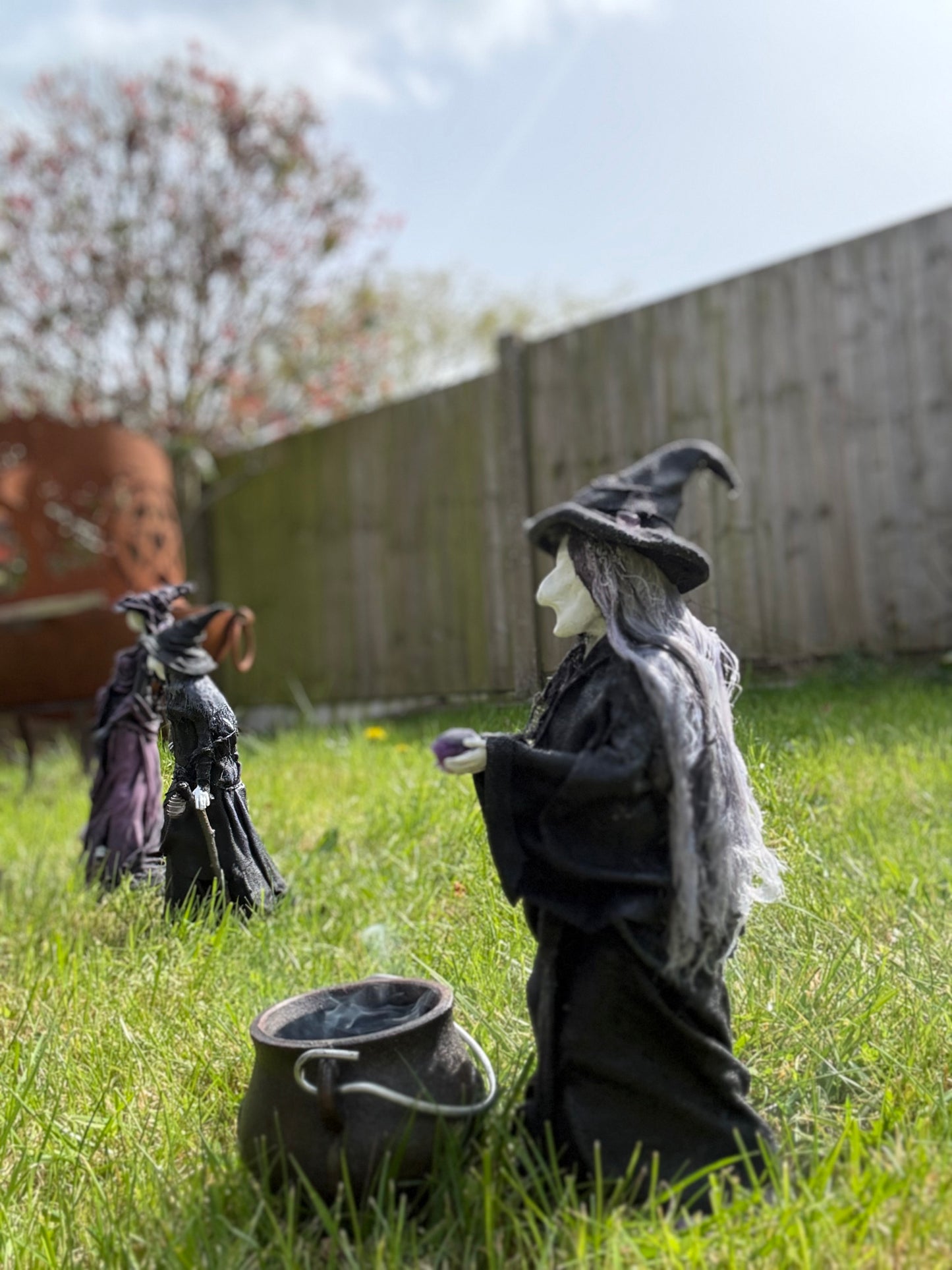 Maeven Witch - Coven Collection - Eco friendly art