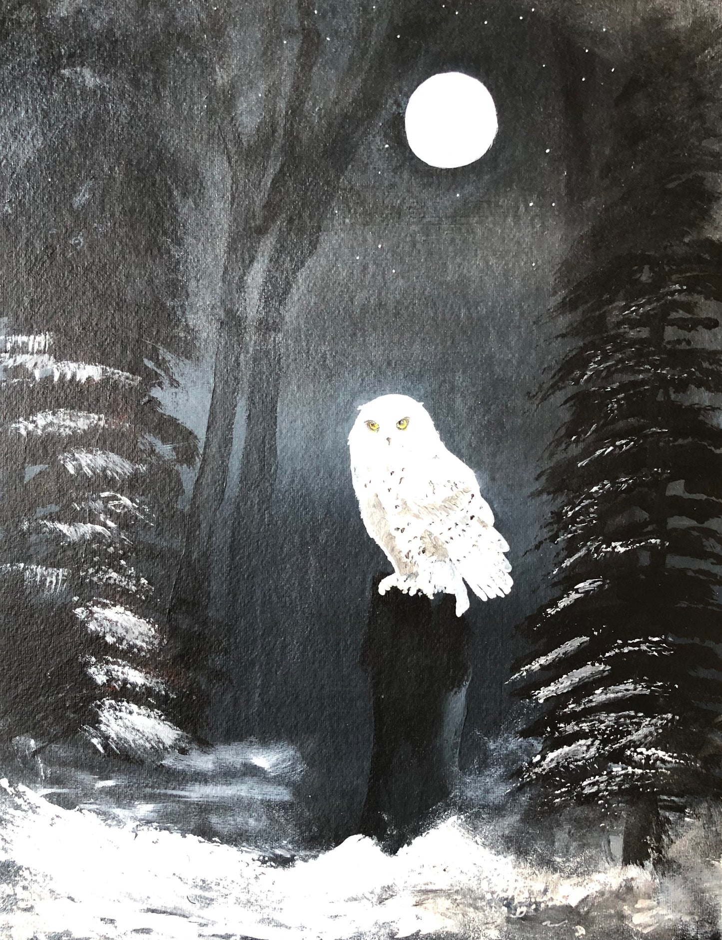 Snowy Owl Wall Art - The Night Watch Owl Fine Art Print