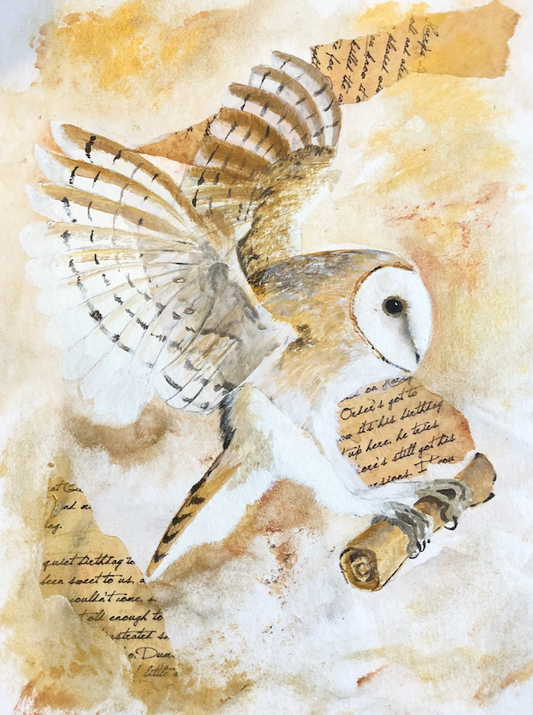 The Silent Messenger Owl Mix n Match