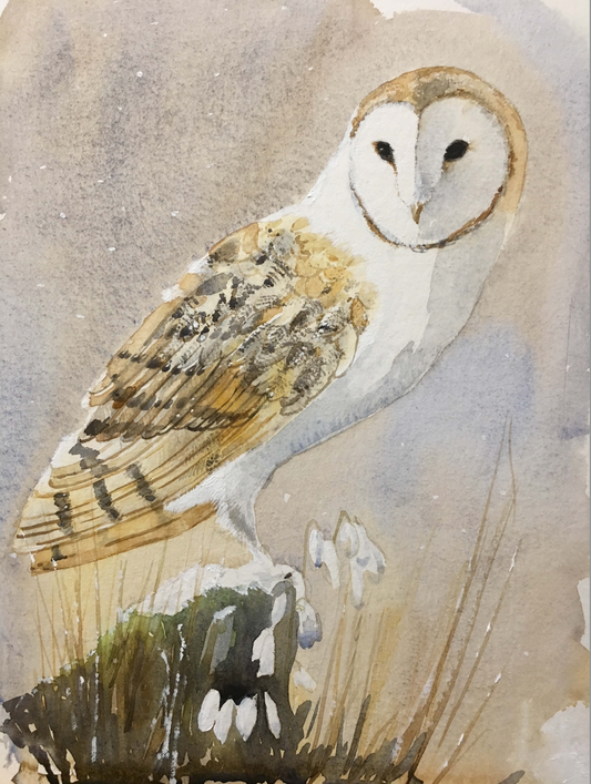 The First Snowdrops Barn Owl Mix n Match