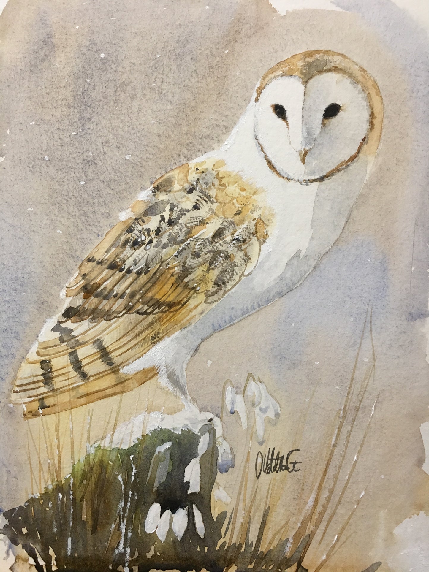 Barn Owl Wall Art - The First Snowdrops Fine Art Print