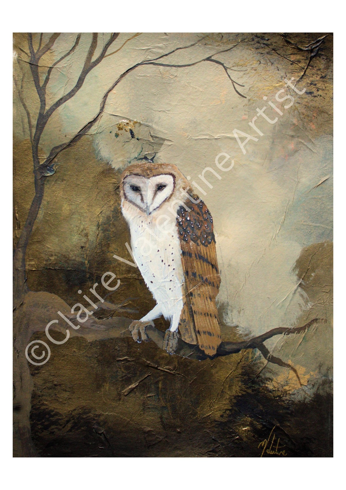 Clarity - Owl Art Print