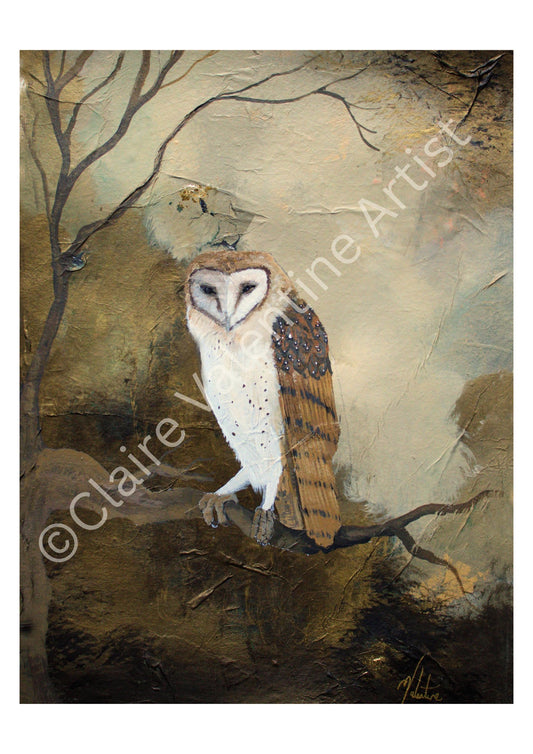 Clarity - Owl Art Print